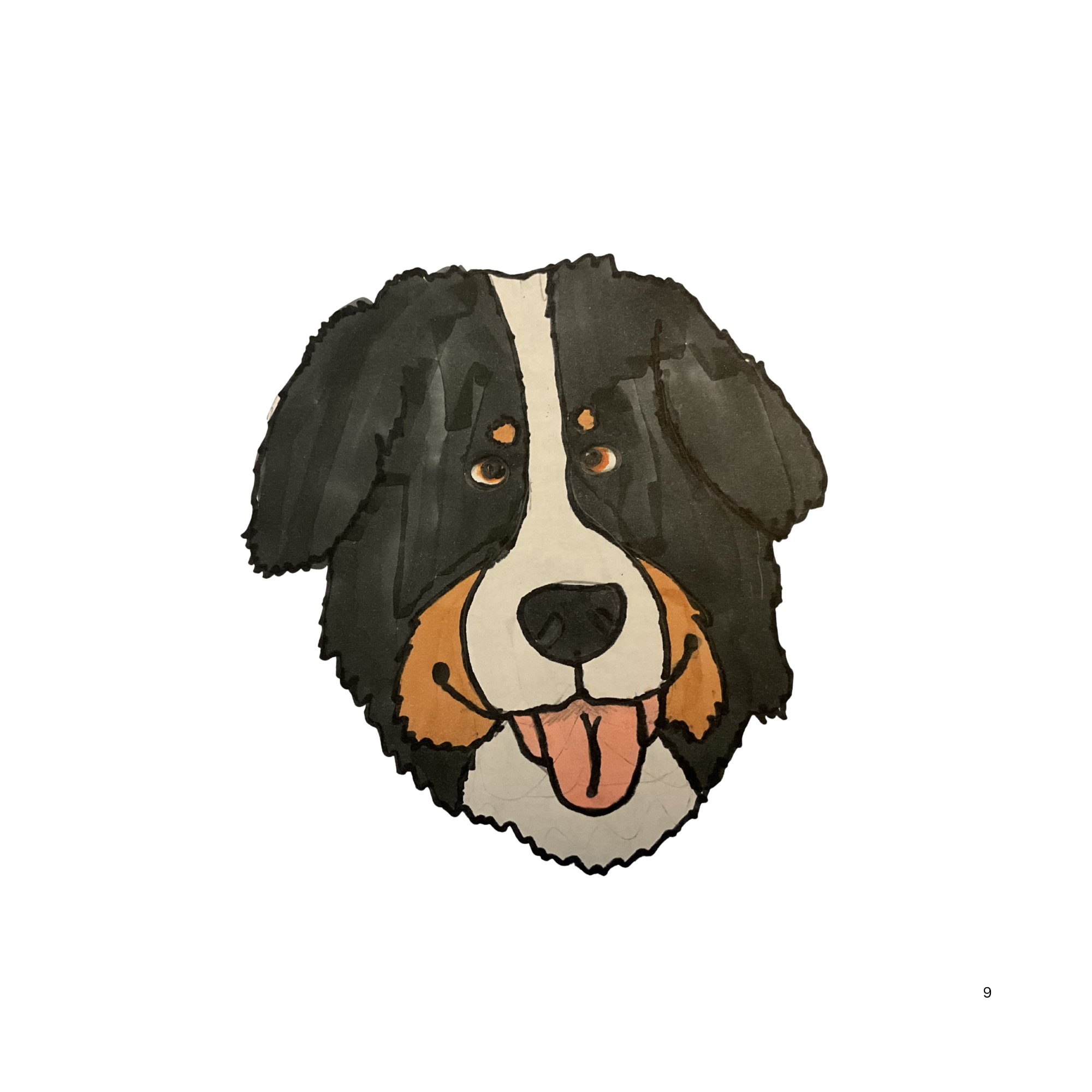 Bernese Mountain Dog