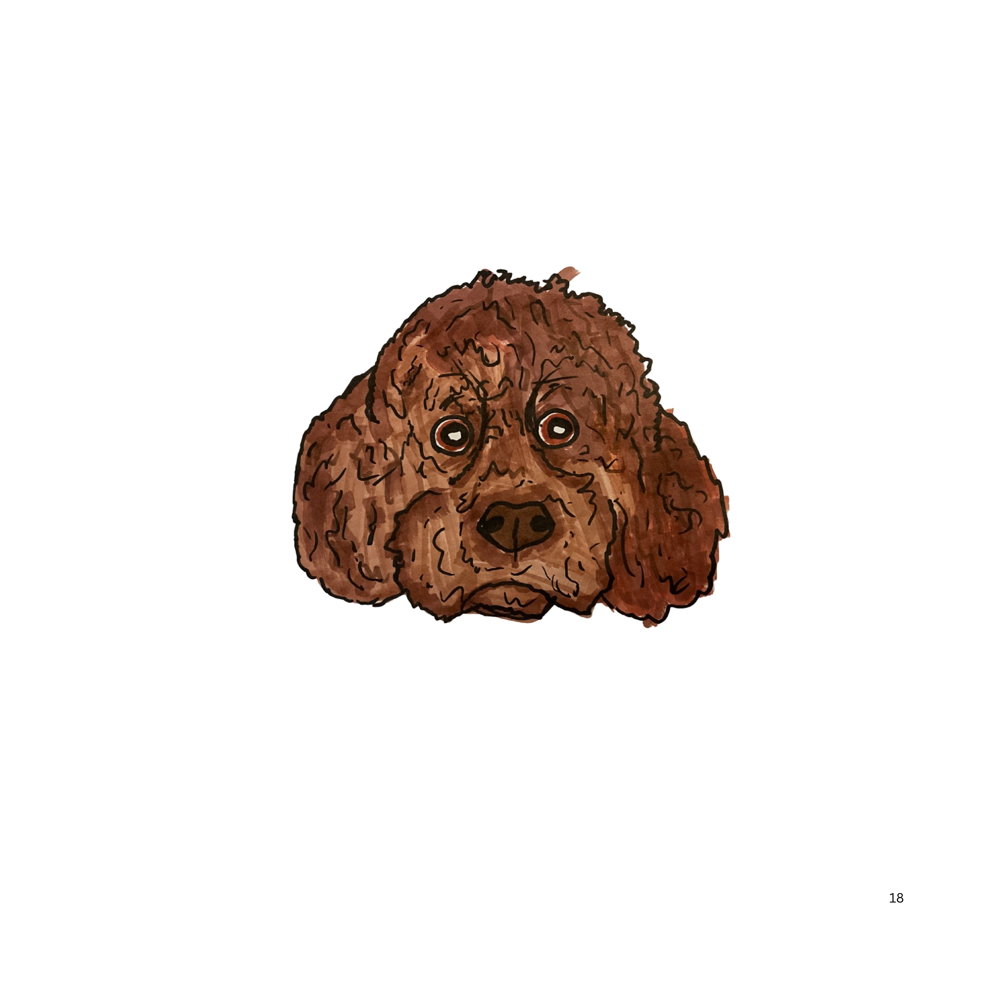 Miniature Poodle