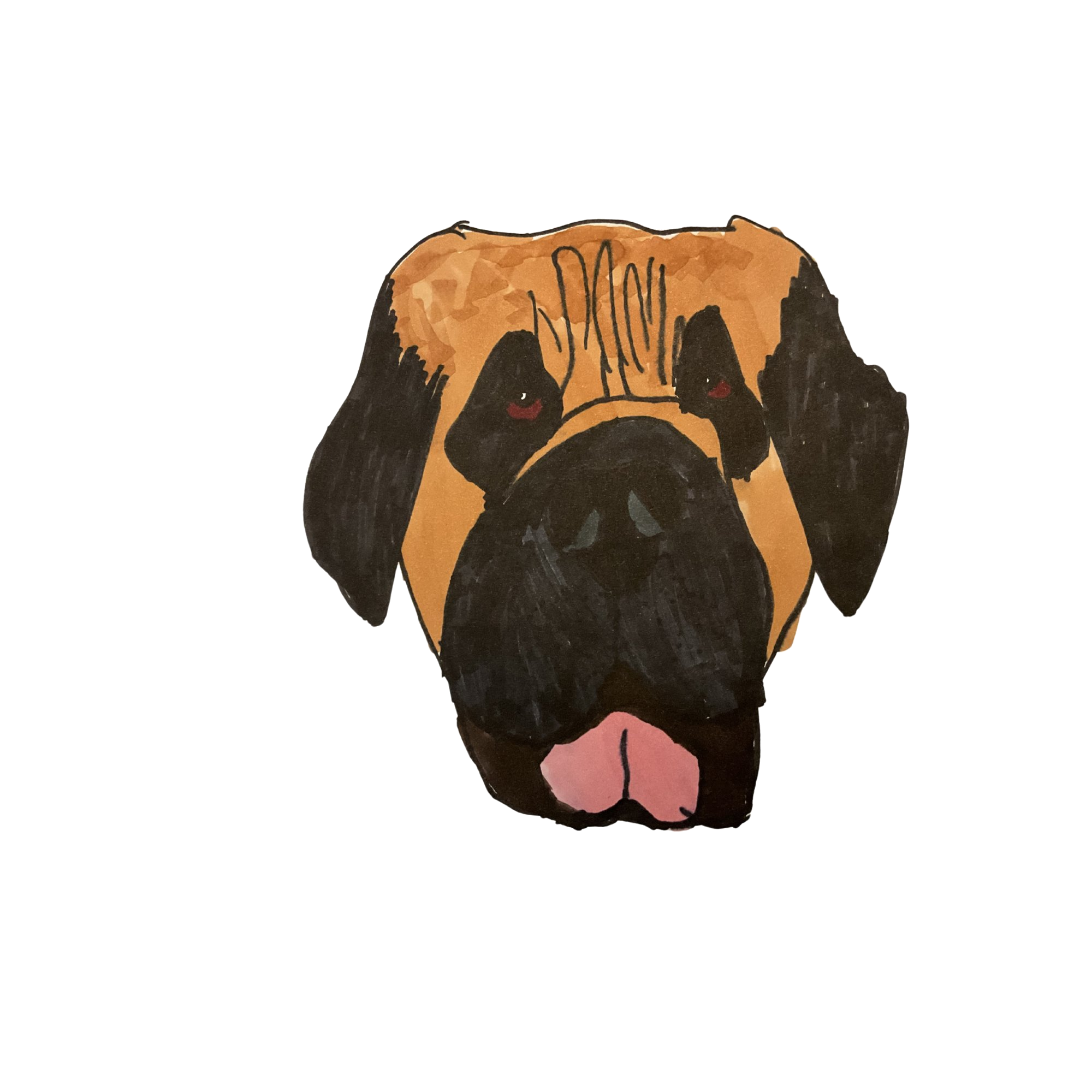 English Mastiff