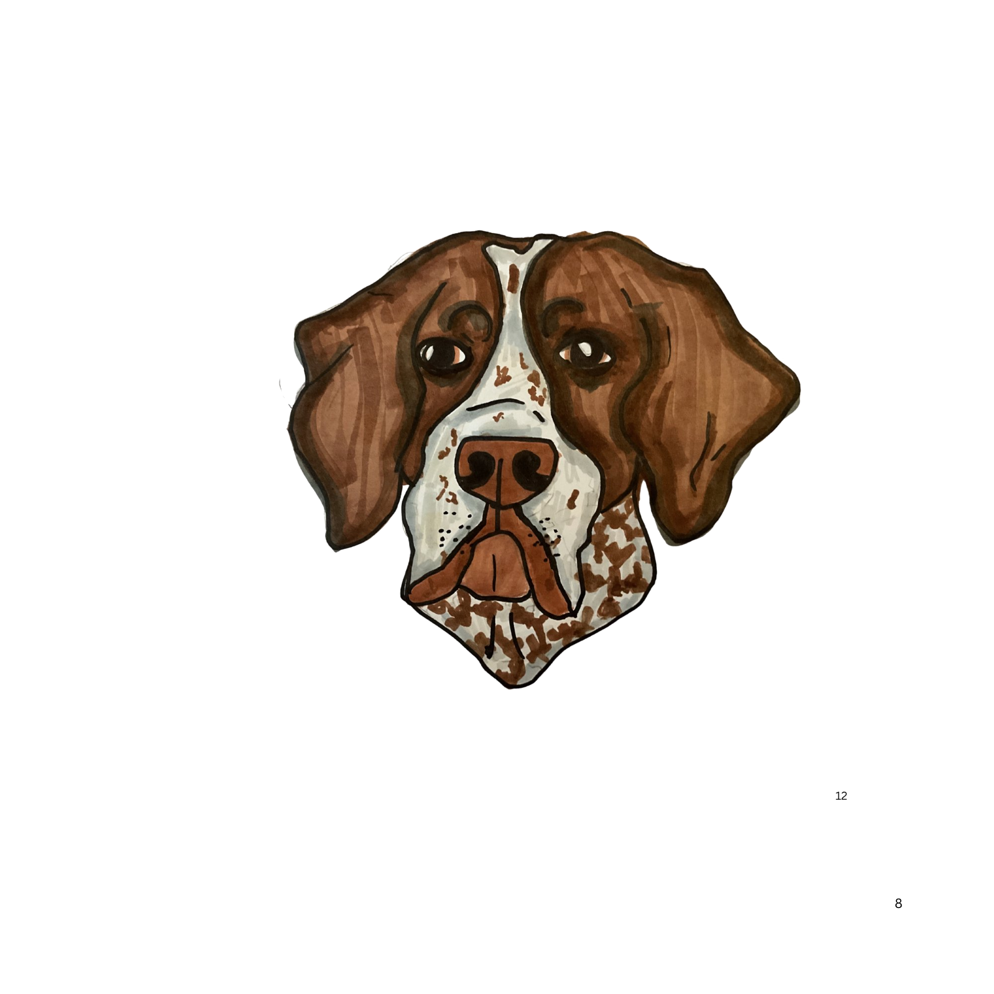 German Shorthaired Pointer