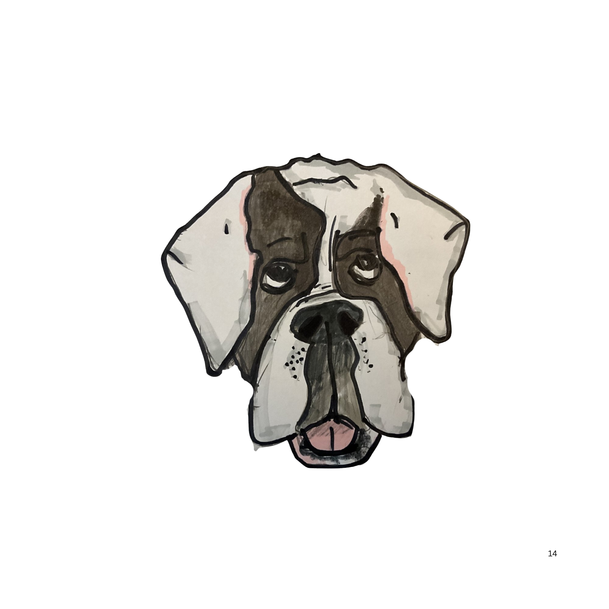 Olde English Bulldogge