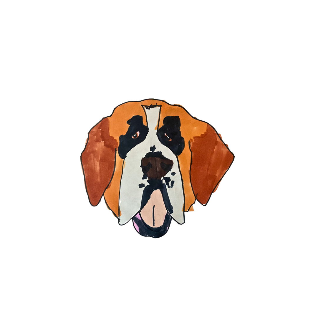 Saint Bernard