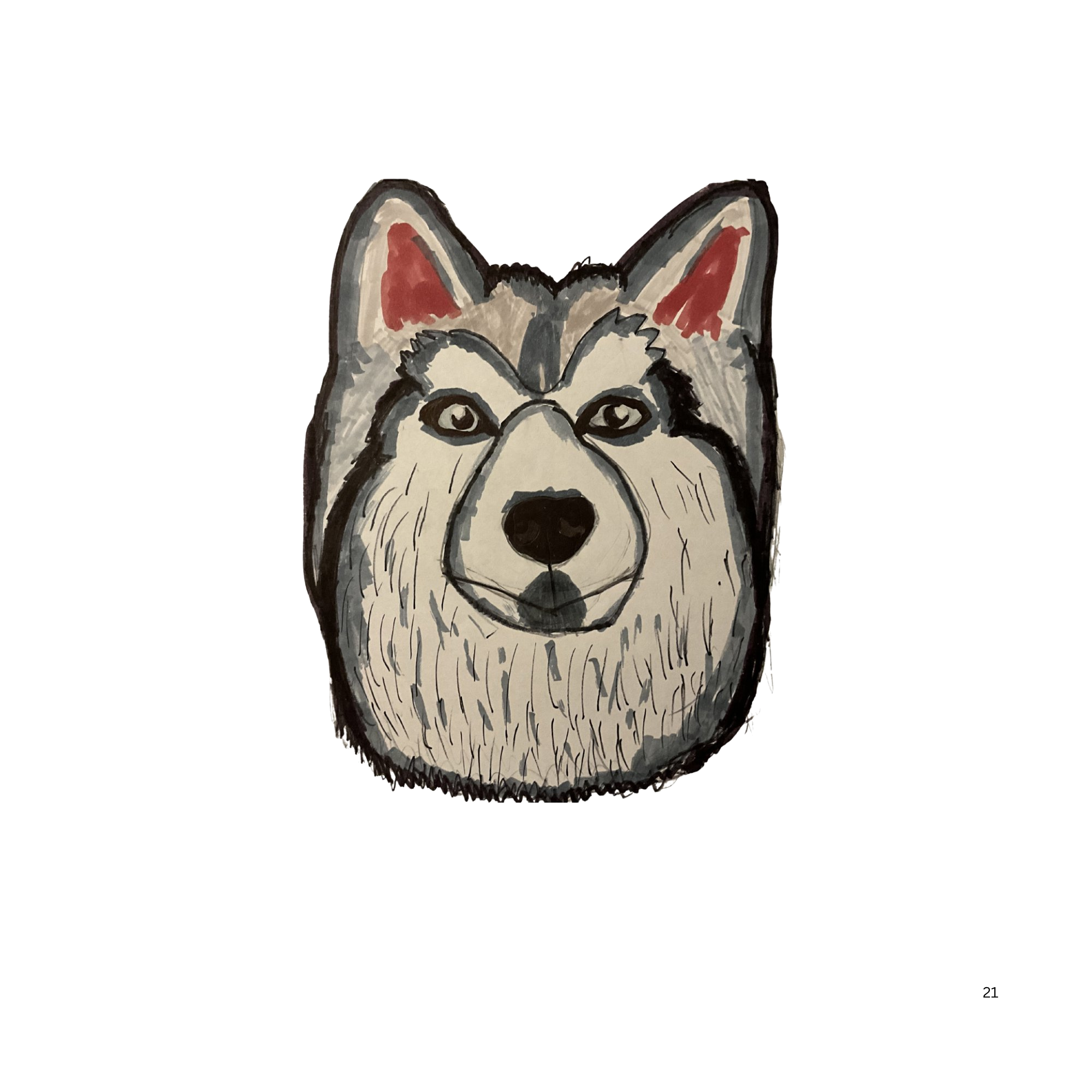 Siberian Husky